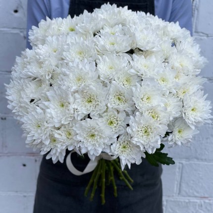 Белая кустовая хризантема - купить с доставкой в Краснодаре