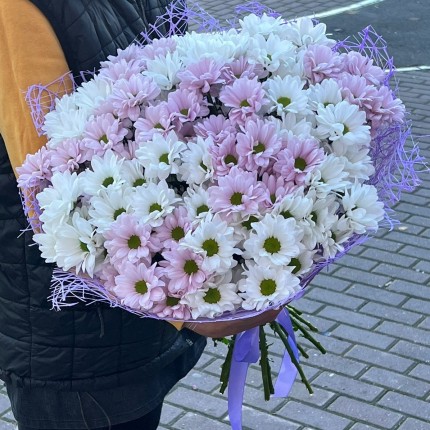 букет из розовой кустовой хризантемы - купить с доставкой в Краснодаре