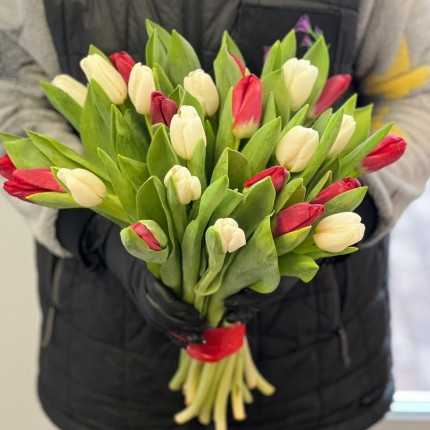 Заказать букет белых и красных тюльпанов недорого с доставкой в Краснодаре