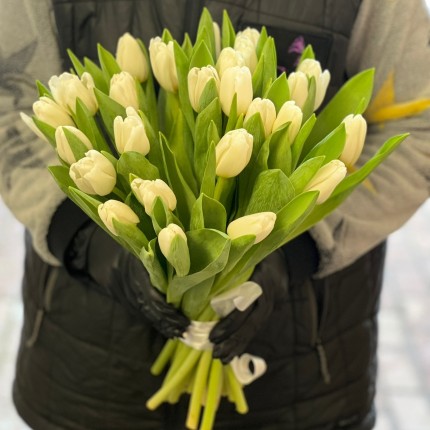 Букеты белых тюльпанов на 8 марта - купить с доставкой в Краснодаре