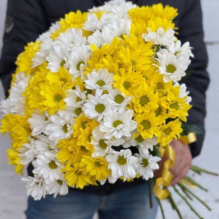 Букет из разноцветных хризантем - купить с доставкой в Краснодаре