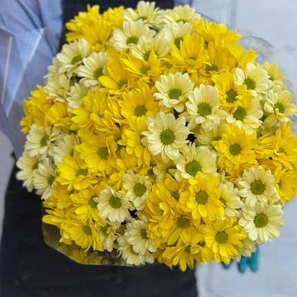 желтая кустовая хризантема - купить с доставкой в Краснодаре